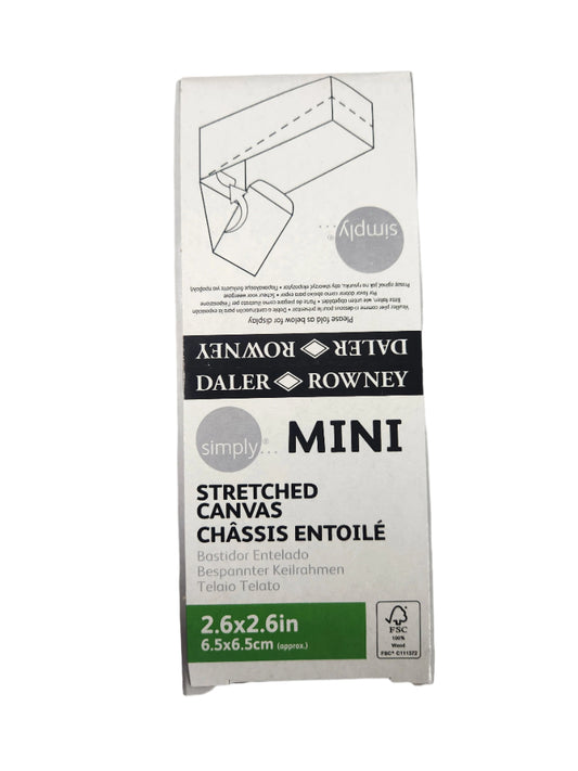 2.6" x 2.6" Mini Stretched Cavnas Box/16