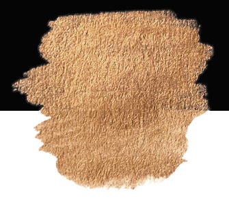 Colorado Brown Pearlescent Finetec Premium Color Square