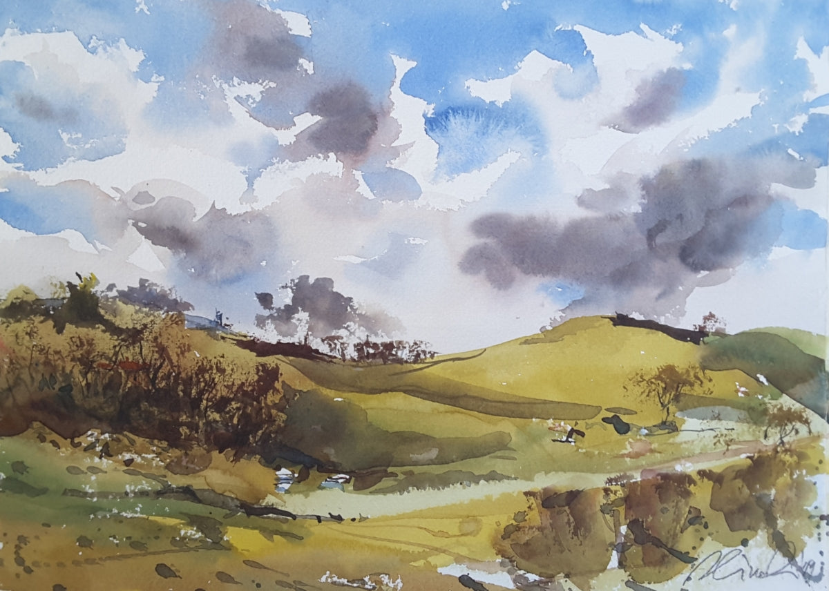 Raffaele Ciccaleni's Master Artist Set Traditional & Modern – Daniel Smith watercolors (6 tube)