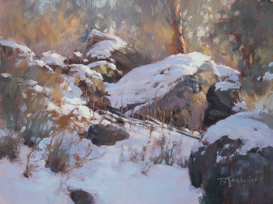 Barbara Jaenicke Workshop May 25th-27th 2027