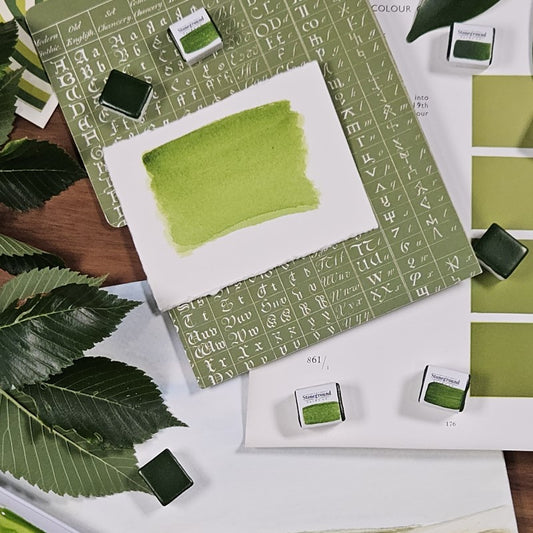 Sap Green Half Pan Watercolor: Stoneground Paint Co.