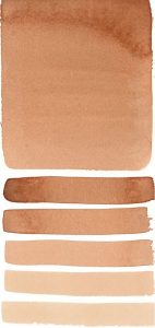 Burnt Sienna Light Daniel Smith Half Pan | Spokane Art Supply