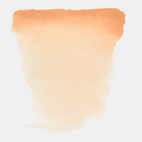 #224 Naples Yellow Reddish Van Gogh half pan at Spokane Art Supply.