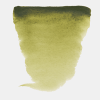 #620 Olive Green Van Gogh half pan at Spokane Art Supply.