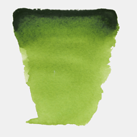 #623 Sap Green Van Gogh half pan at Spokane Art Supply.