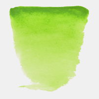 #633 Permanent Yellowish Green Van Gogh half pan at Spokane Art Supply.