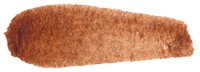 Transparent Orange Iron 186 M Graham Watercolor .5oz tube