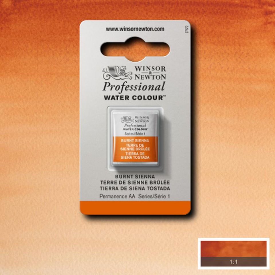 Burnt Sienna Winsor & Newton half pan