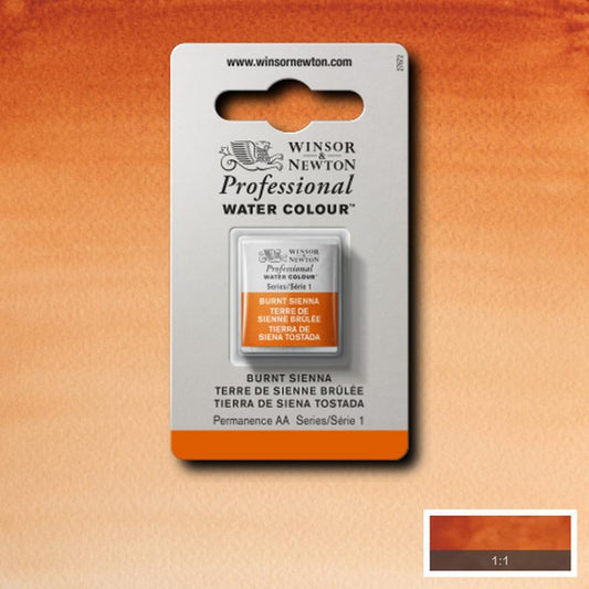 Burnt Sienna Winsor & Newton half pan