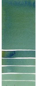 Cascade Green Daniel Smith Half Pan | Spokane Art Supply