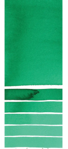 Phthalo Green (Blue Shade) Daniel Smith Half Pan | Spokane Art Supply