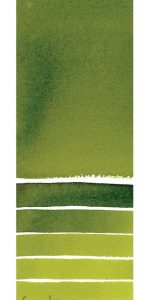 Sap Green Daniel Smith Half Pan | Spokane Art Supply