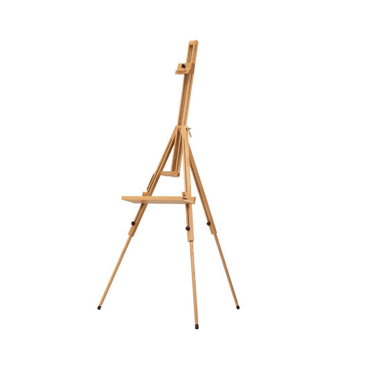 MEEDEN Tripod Plein Air Painting Easel with Carrying Case-W07E