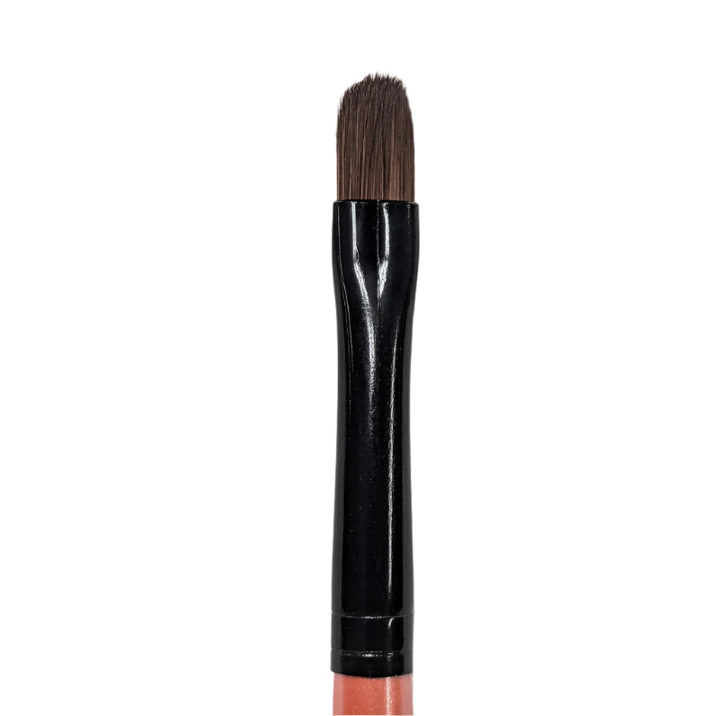 Lily Filbert Brush
