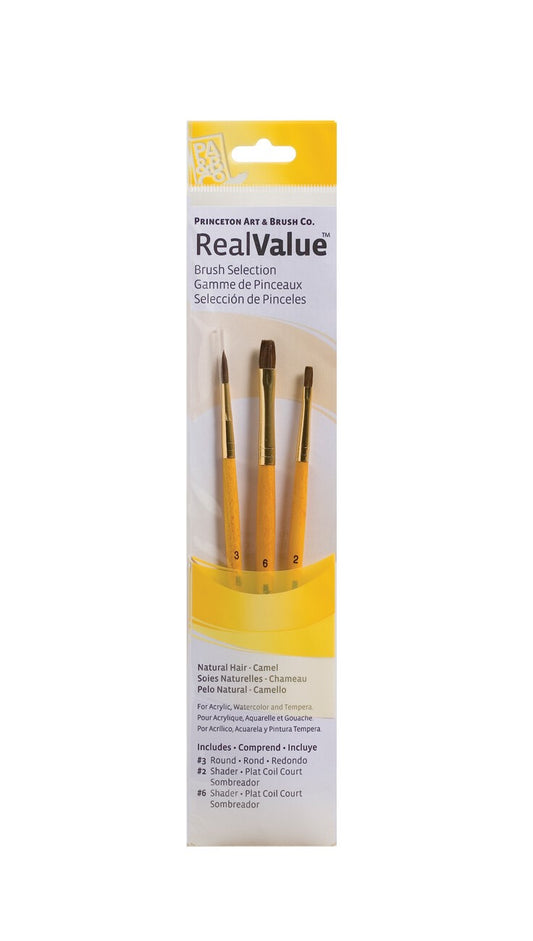 Princeton Real Value Brush Set 9101