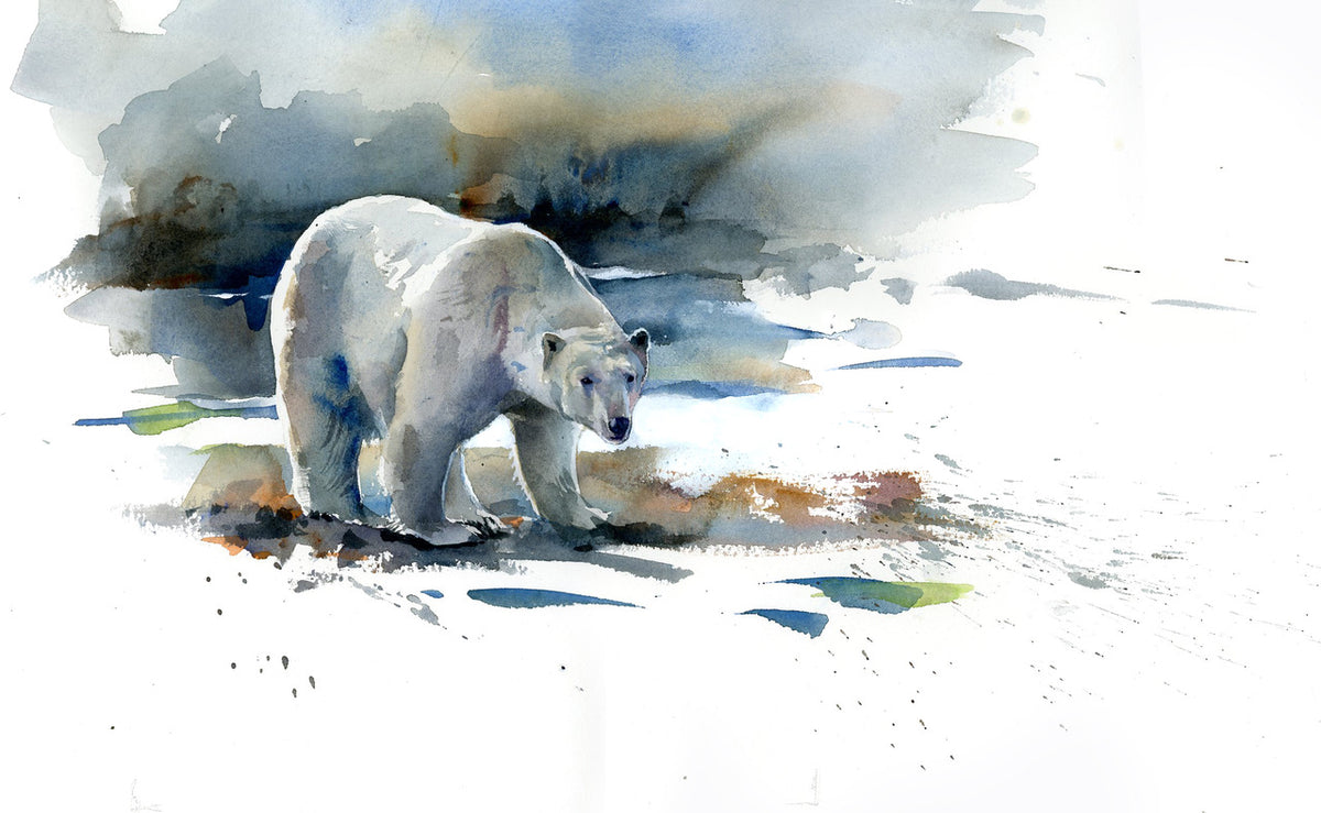 Stan Miller Watercolor Workshop: Watercolor, From Realism to Abstraction / Portrait / Landscape / Animal / Flower