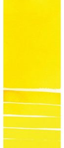 Cadmium Yellow Hue Daniel Smith Half Pan | Spokane Art Supply